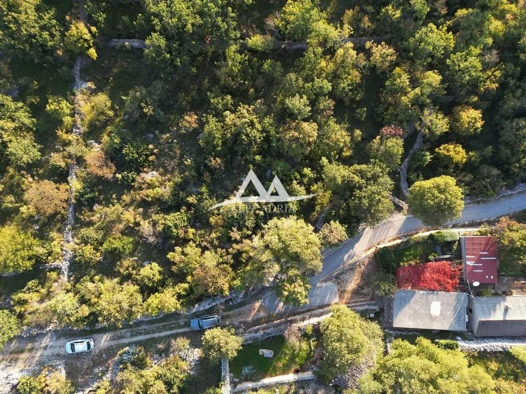 UGODNA CENA - SELINE - GRADBENI ZEMLJIŠČE 1.467 M2 - 88.560 €