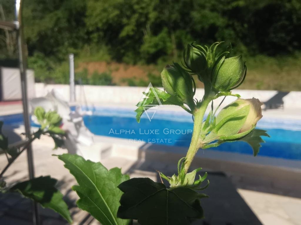 Buzet, Istra - Apartmajski kompleks z bazenom v mirnem naravnem okolju
