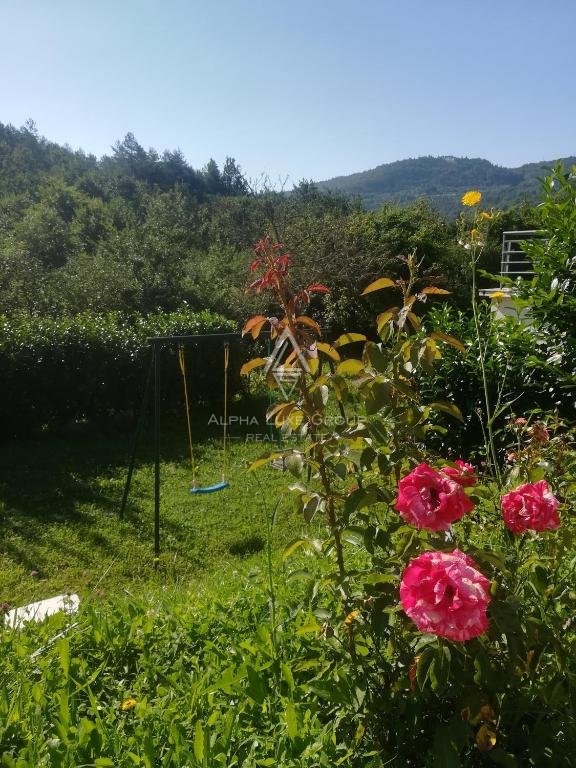 Buzet, Istra - Apartmajski kompleks z bazenom v mirnem naravnem okolju