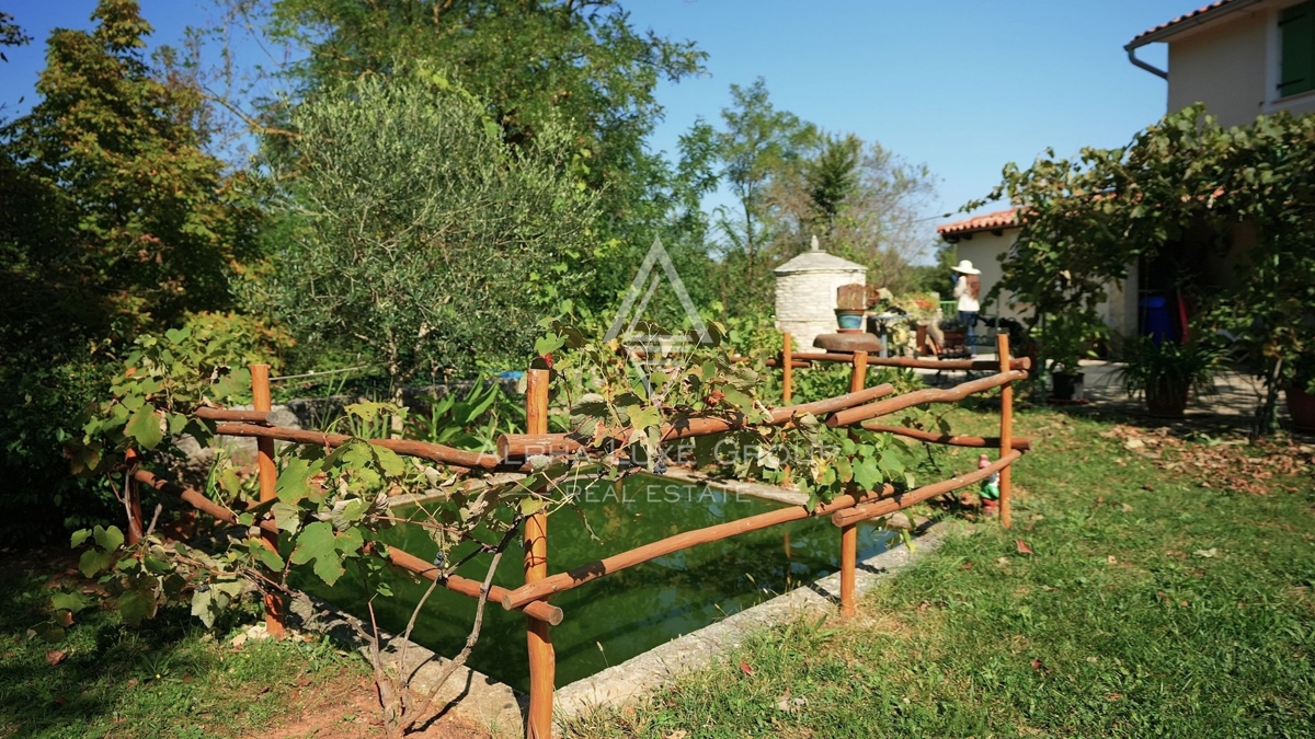 Istra, Žminj, Prenovljena kamnita hiša v slikoviti vasi