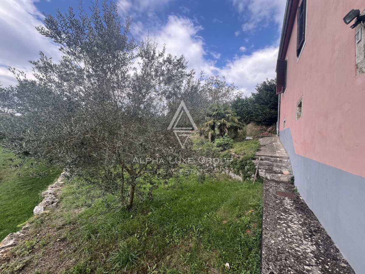 SAMO PRI NAS! SAMOSTOJNA HIŠA NA VELIKEM ZEMLJIŠČU V CENTRU MESTA, TINJAN - PRILOŽNOST!