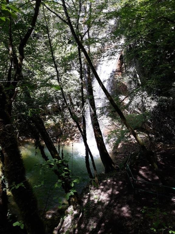 Momjan, Istra - Zgodovinska kamnita hiša z bazenom