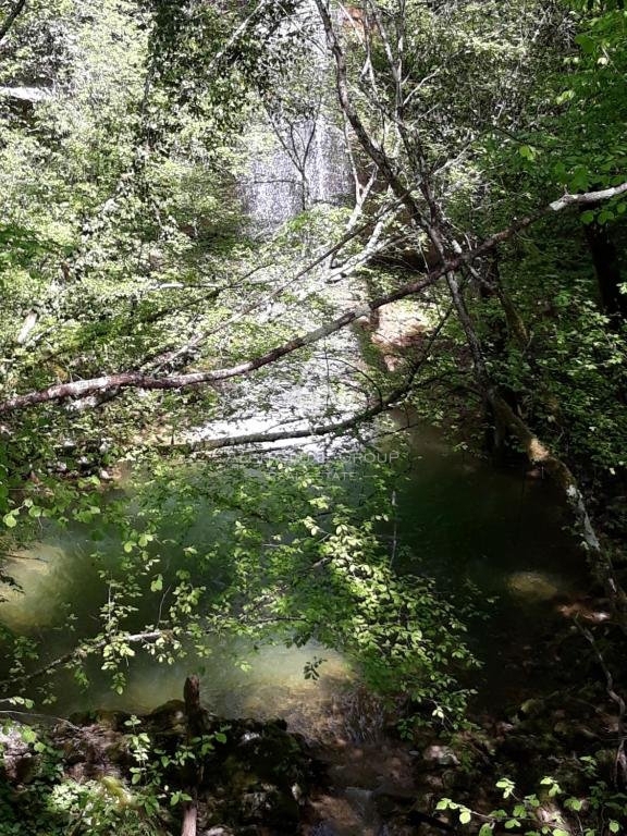 Momjan, Istra - Zgodovinska kamnita hiša z bazenom