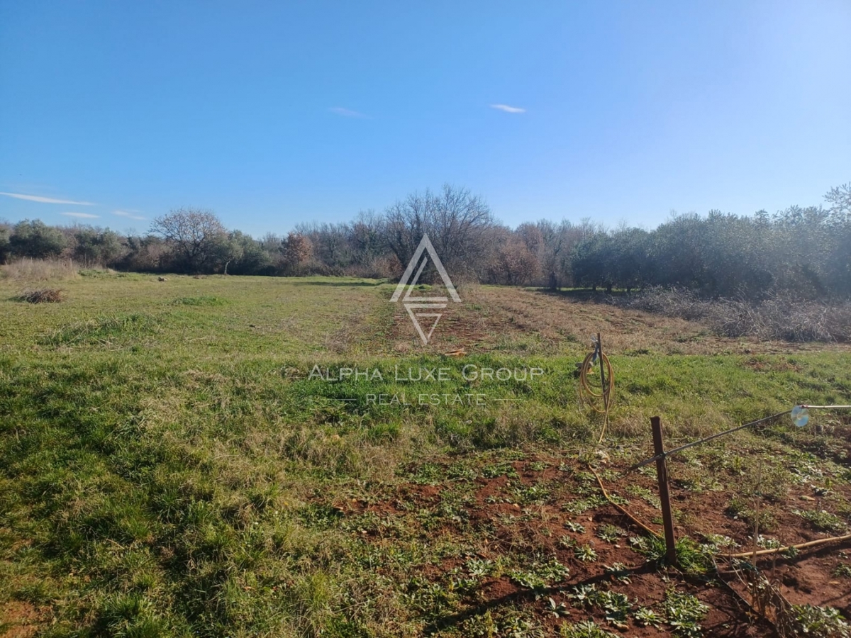 Vabriga, Istra – Dve odlični parceli naprodaj