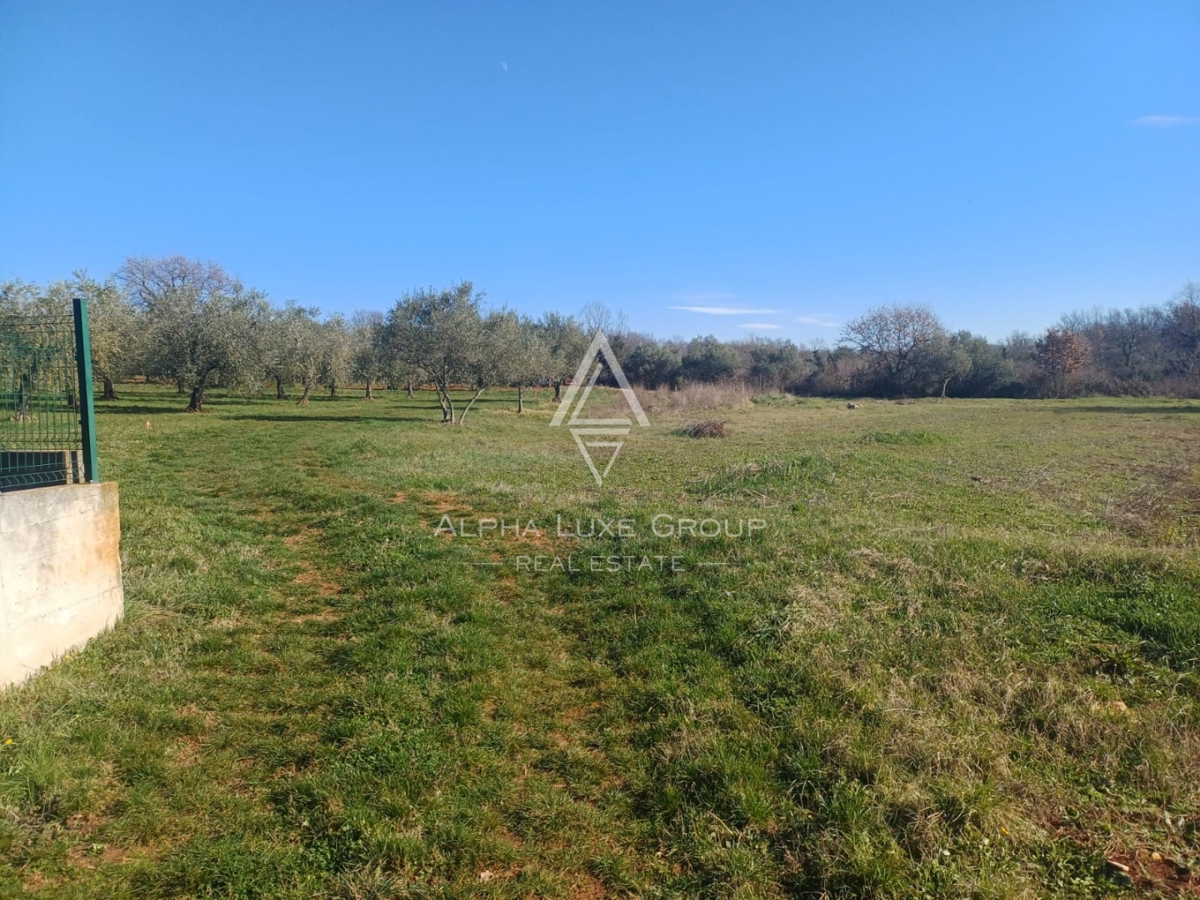 Vabriga, Istra – Dve odlični parceli naprodaj