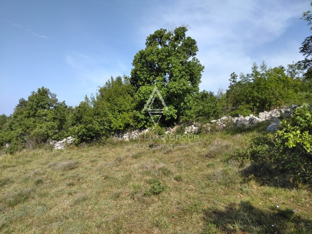 Kmetijsko zemljišče v Višnjanu, Poreč je na prodaj – idealno za različne namene!