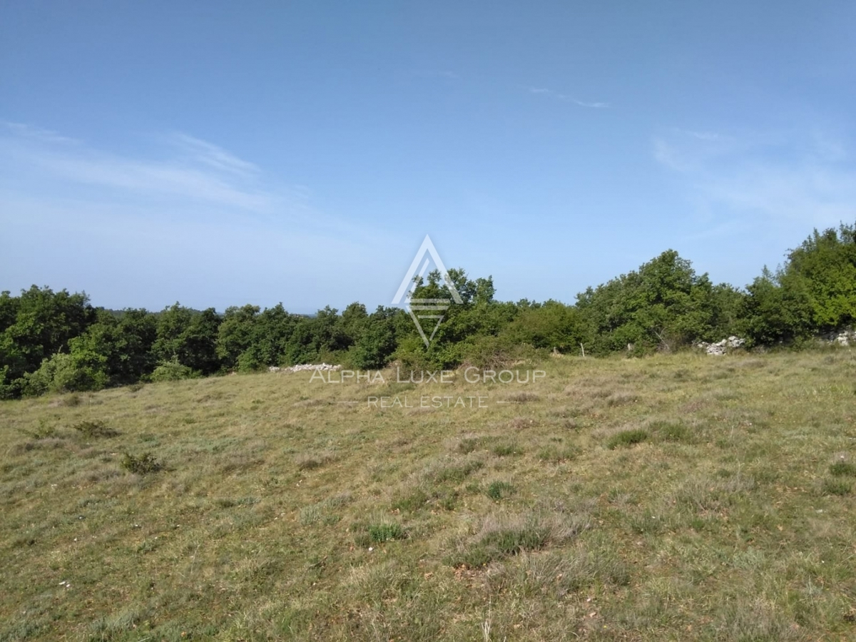Kmetijsko zemljišče v Višnjanu, Poreč je na prodaj – idealno za različne namene!