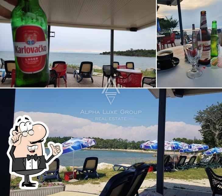 Odkrijte Eleganco in Morski Mir v Savudriji, Istra