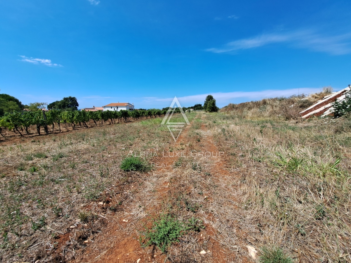 Zemljišče Kaštelir, Kaštelir-Labinci, 1.430m2