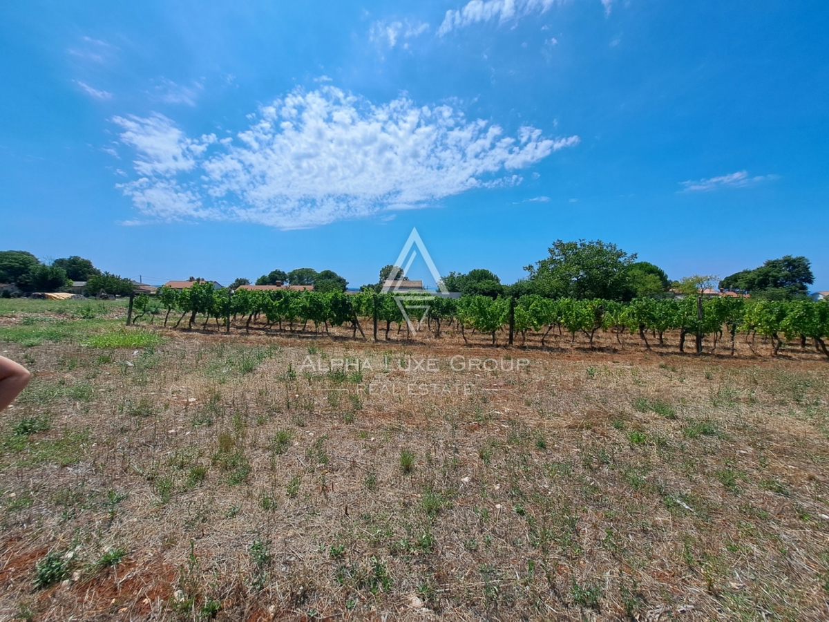 Zemljišče Kaštelir, Kaštelir-Labinci, 1.430m2