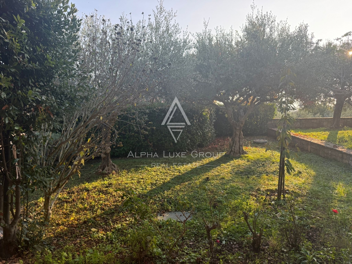 Istra, Buje: Čarobna kamnita hiša z vrtom