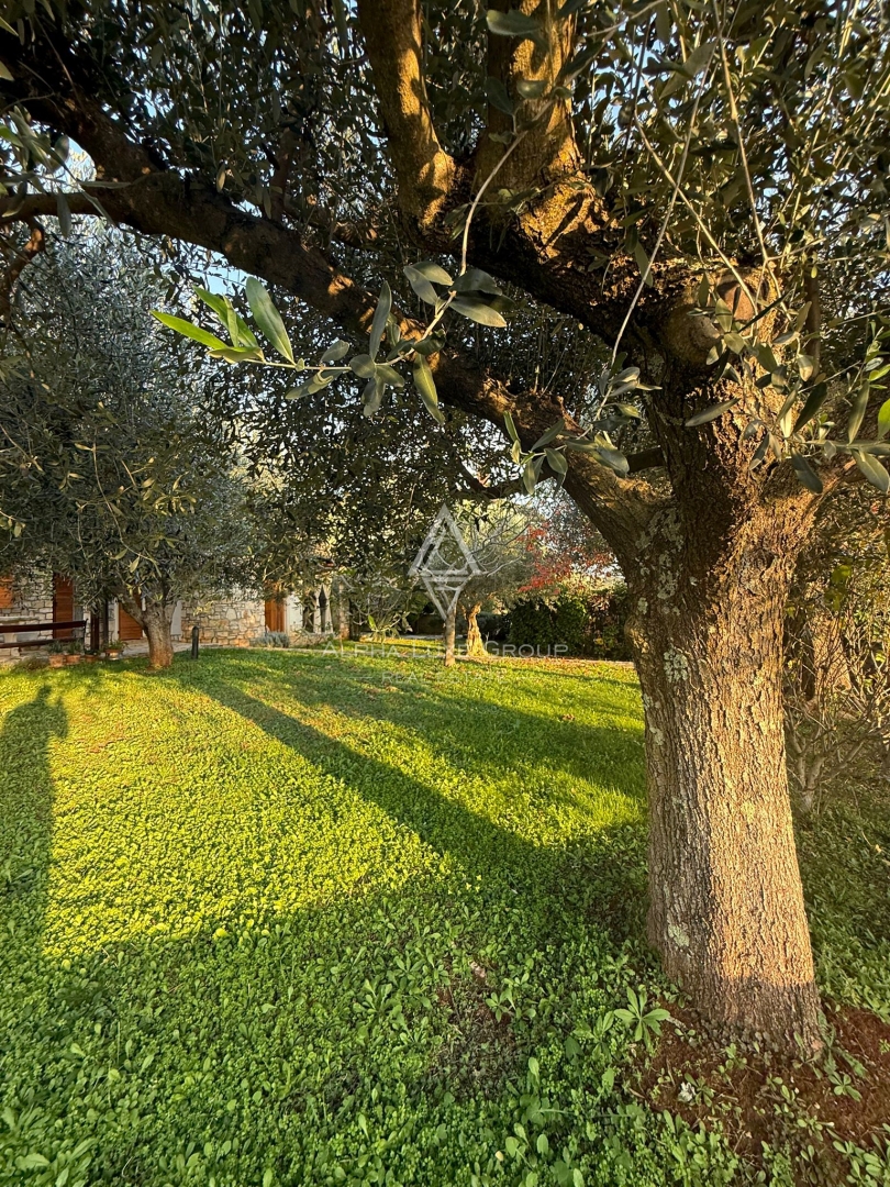 Istra, Buje: Čarobna kamnita hiša z vrtom