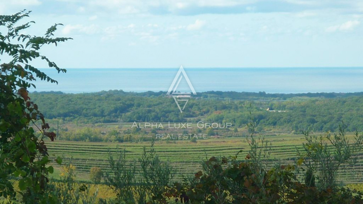 Istra, Buje: Privlačno zazidljivo zemljišče s pogledom