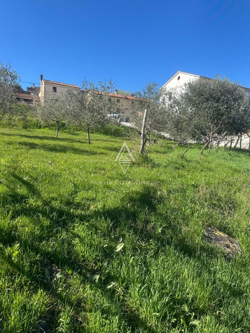 Istra, Vižinada: Gradbeno zemljišče panoramski pogled