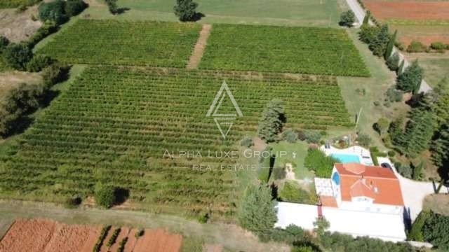 Čudovita kamnita vila na prostorni parceli z lastnim vinogradom, Poreč, ISTRA