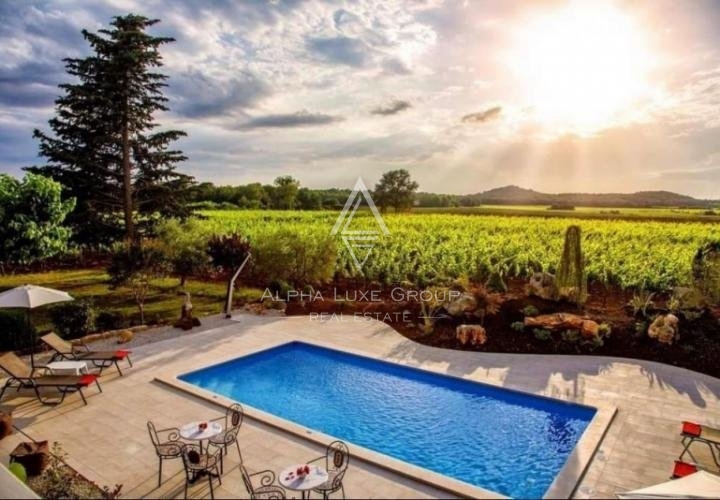 Kamnita hiša z bazenom in čudovitim vinogradom, Istra, Poreč