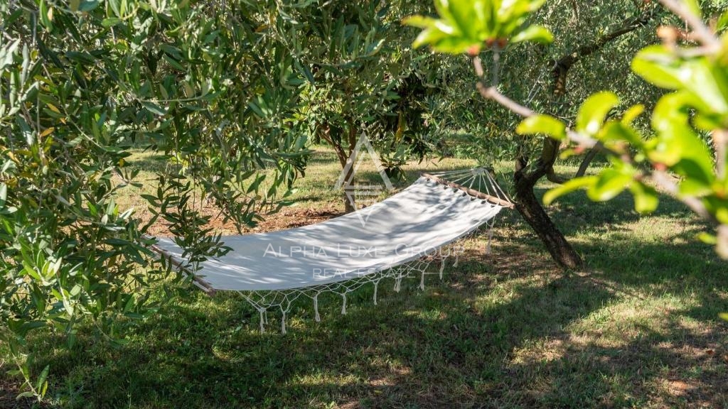 Višnjan, Istra – Luksuzna vila s panoramskim razgledom