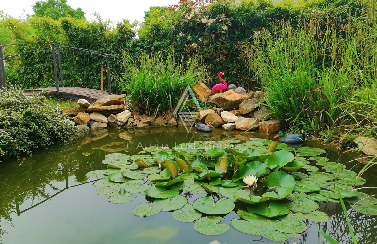 Istra, Poreč: Moderna hiša z bazenom in morjem