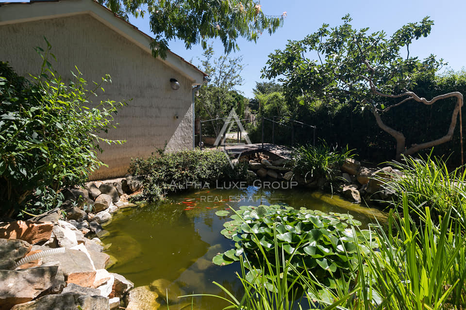 Istra, Poreč: Moderna hiša z bazenom in morjem