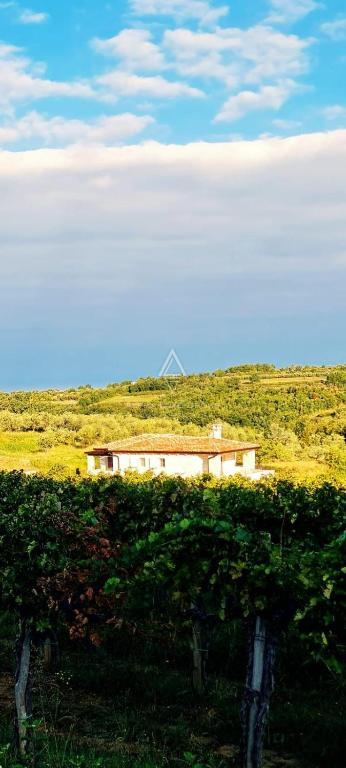 Istra, Momjan: Luksuzna vila s panoramskim razgledom