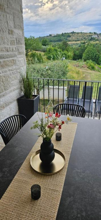 Istra, Momjan: Luksuzna vila s panoramskim razgledom