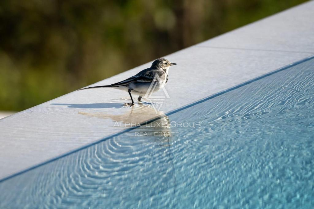 Istra, Momjan: Luksuzna vila s panoramskim razgledom