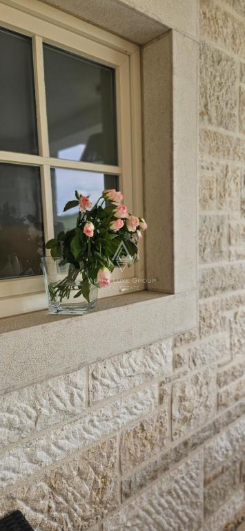 Istra, Momjan: Luksuzna vila s panoramskim razgledom