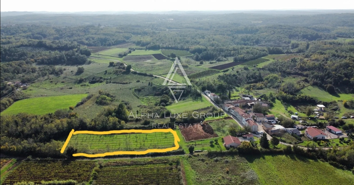 Istra, Višnjan: Gradbena parcela v mirni istrski vasici na prodaj