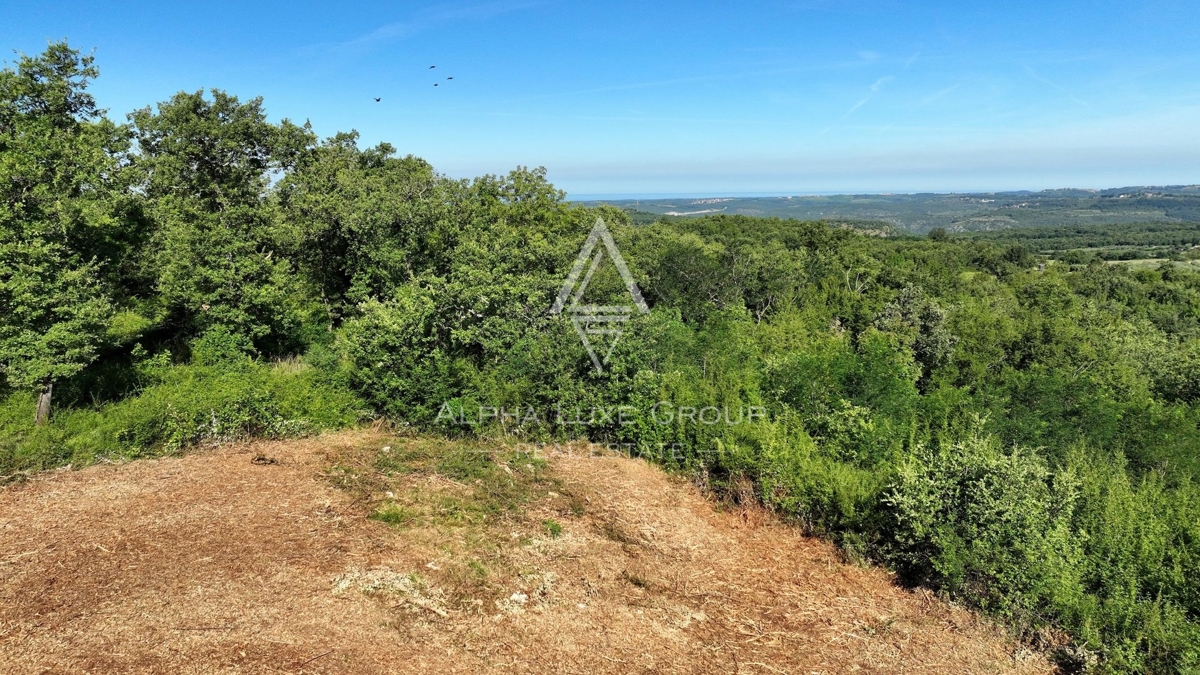 Istra, Vižinada - Gradbena parcela s čudovitim razgledom