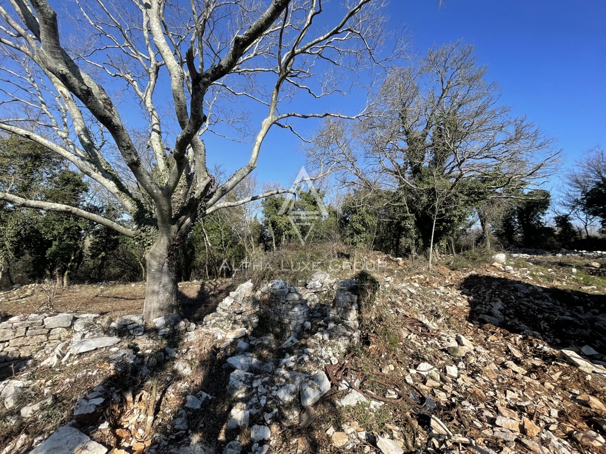 Buje, Istra – Sodobna vila z bazenom na mirni lokaciji