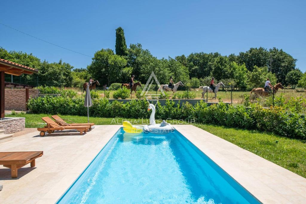 Marčana, Istra: Moderna hiša z bazenom in pogledom na naravo
