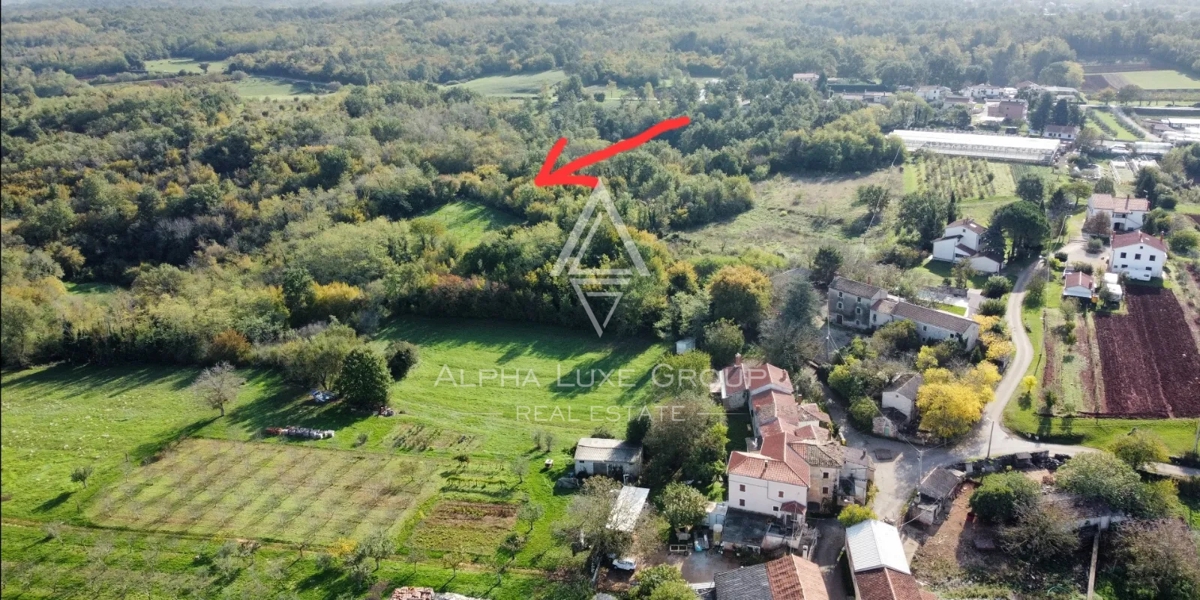 Istra, Višnjan: Gradbena parcela z investicijskim potencialom naprodaj