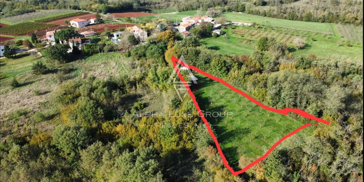 Istra, Višnjan: Gradbena parcela z investicijskim potencialom naprodaj
