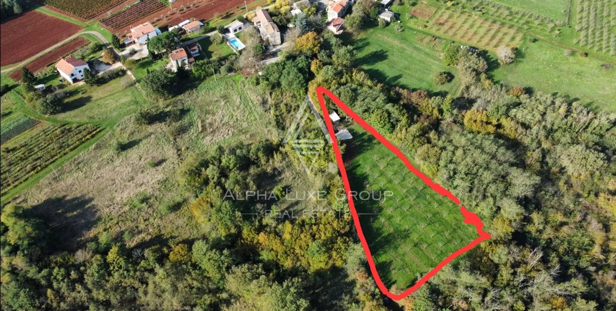 Istra, Višnjan: Gradbena parcela z investicijskim potencialom naprodaj