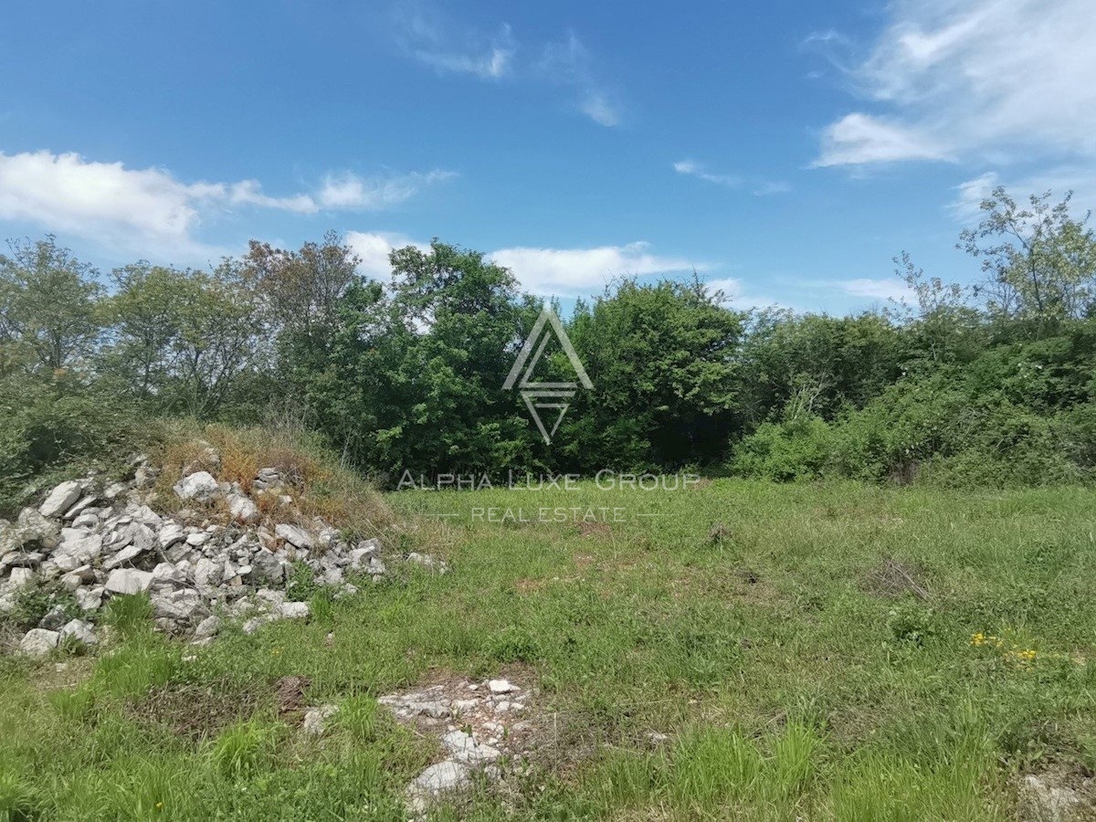 Istra, Višnjan - Samostojna hiša v mirnem podeželskem okolju