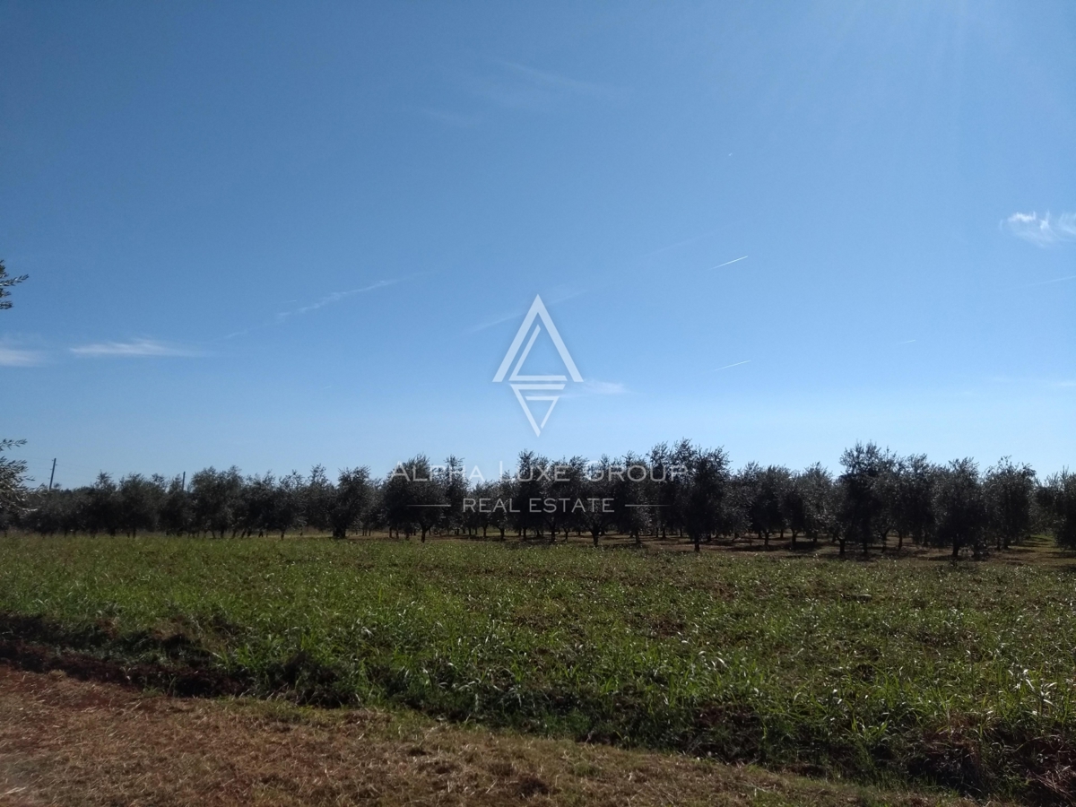 Zemljišče Umag, 10.292m2