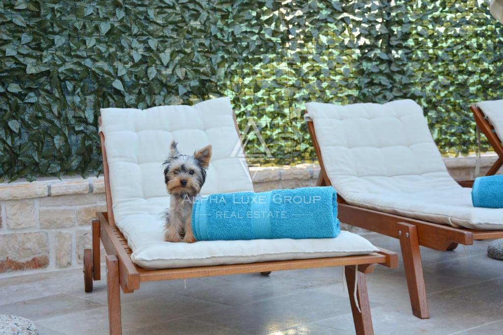 Istra, Buje: Apartmajska hiša z bazenom naprodaj