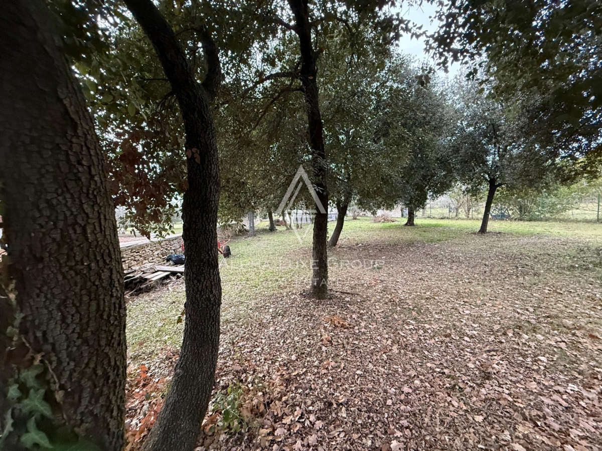 Istra, Rovinj – Hiša z razvojnim potencialom