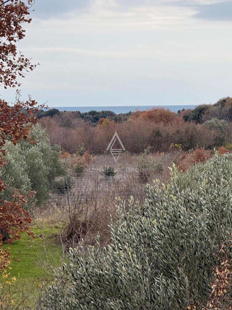 Istra, Rovinj – Hiša z razvojnim potencialom