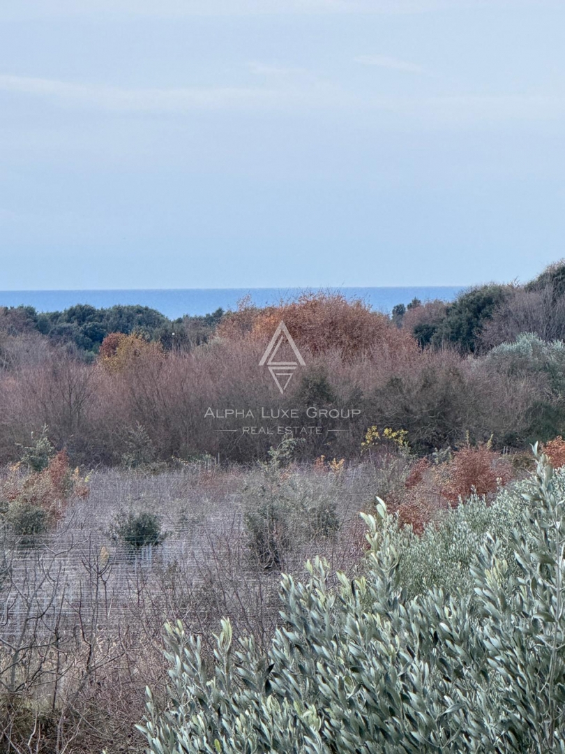 Istra, Rovinj – Hiša z razvojnim potencialom