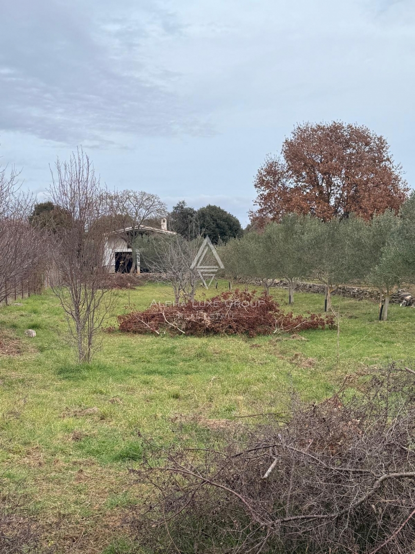 Istra, Rovinj – Hiša z razvojnim potencialom