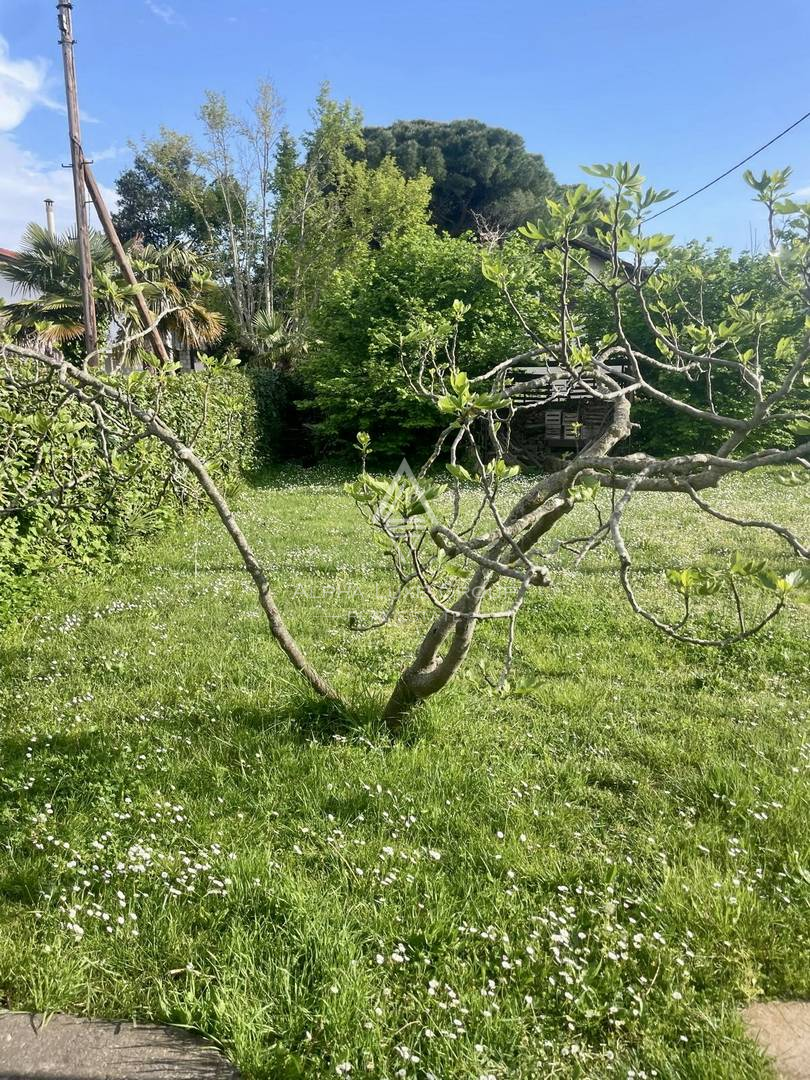Istra, Umag: Hiša 80 m od plaže velik vrt