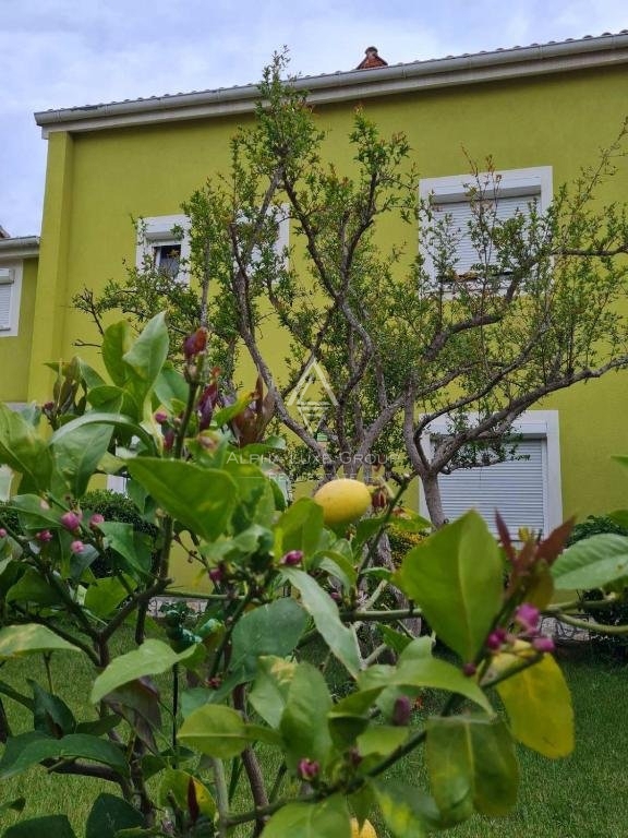 Pula, Istra: Prostorna družinska hiša v Valdebeku z bazenom