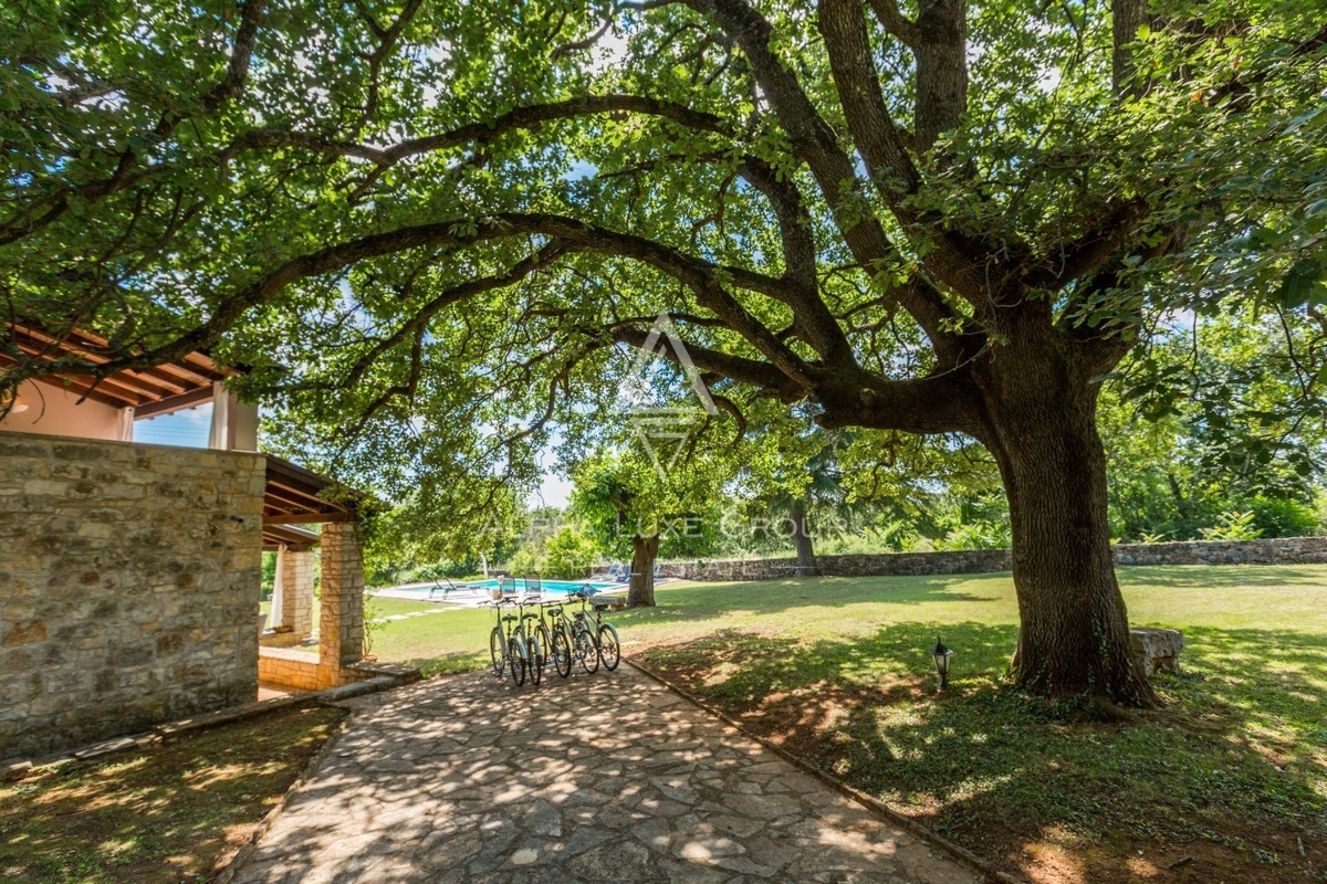 Istra, Poreč, Prenovljena vila z bazenom in vrtom