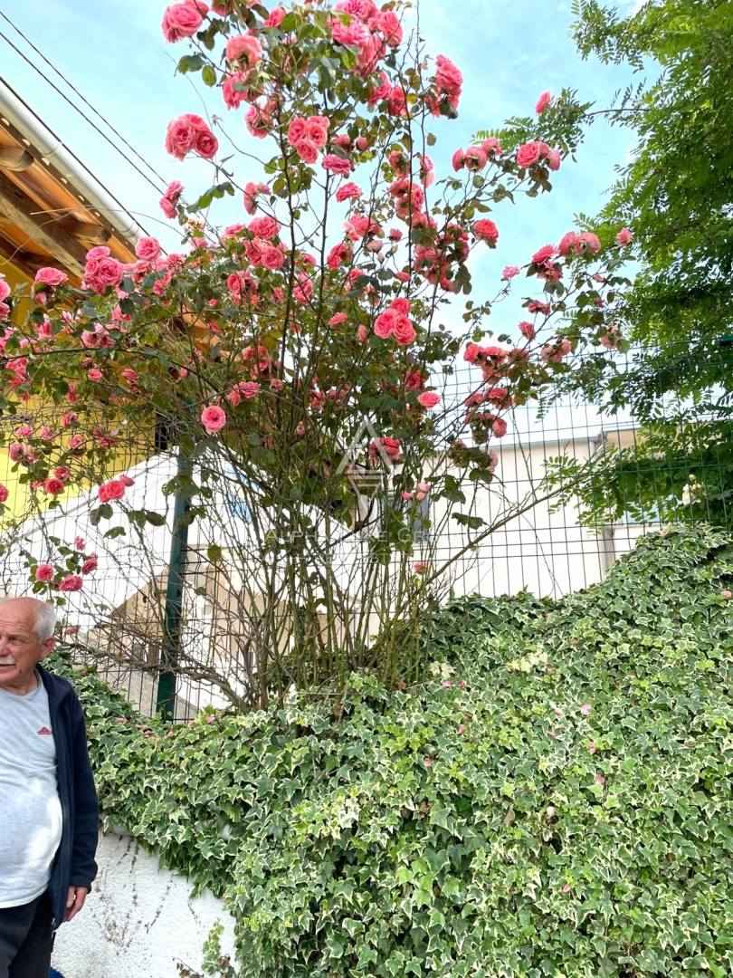 Stanovanje Poreč, 61m2