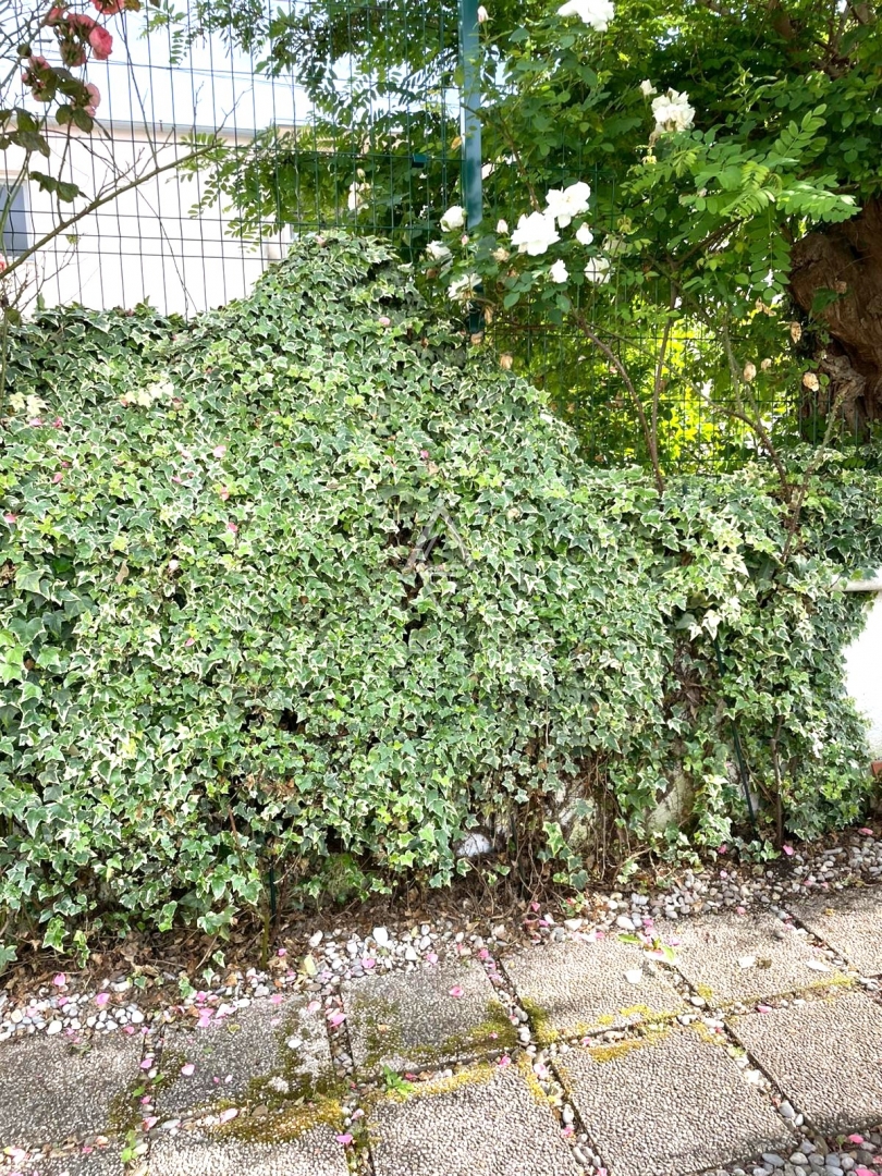 Stanovanje Poreč, 61m2