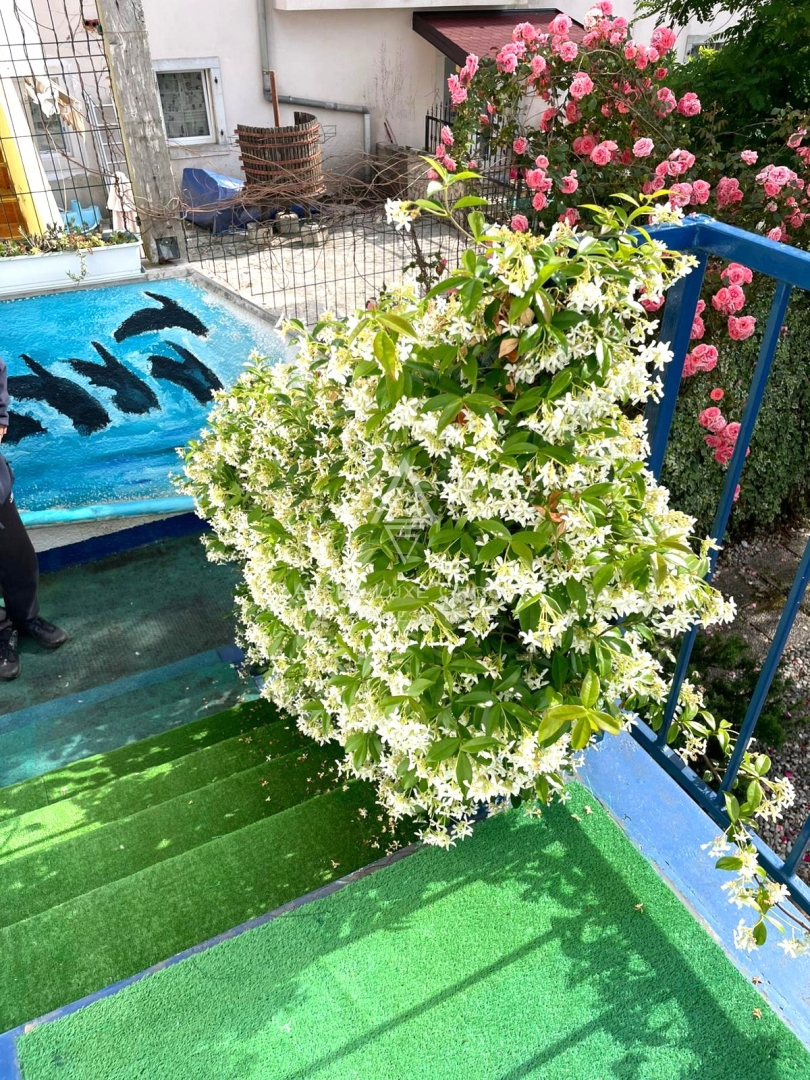 Stanovanje Poreč, 61m2