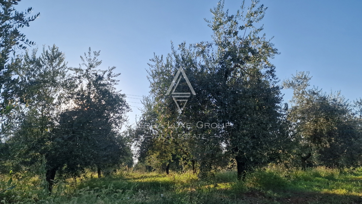 Zemljišče Umag, 8.056m2
