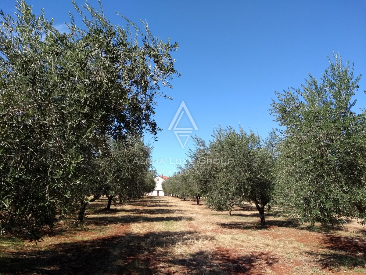 Zemljišče Umag, 8.056m2