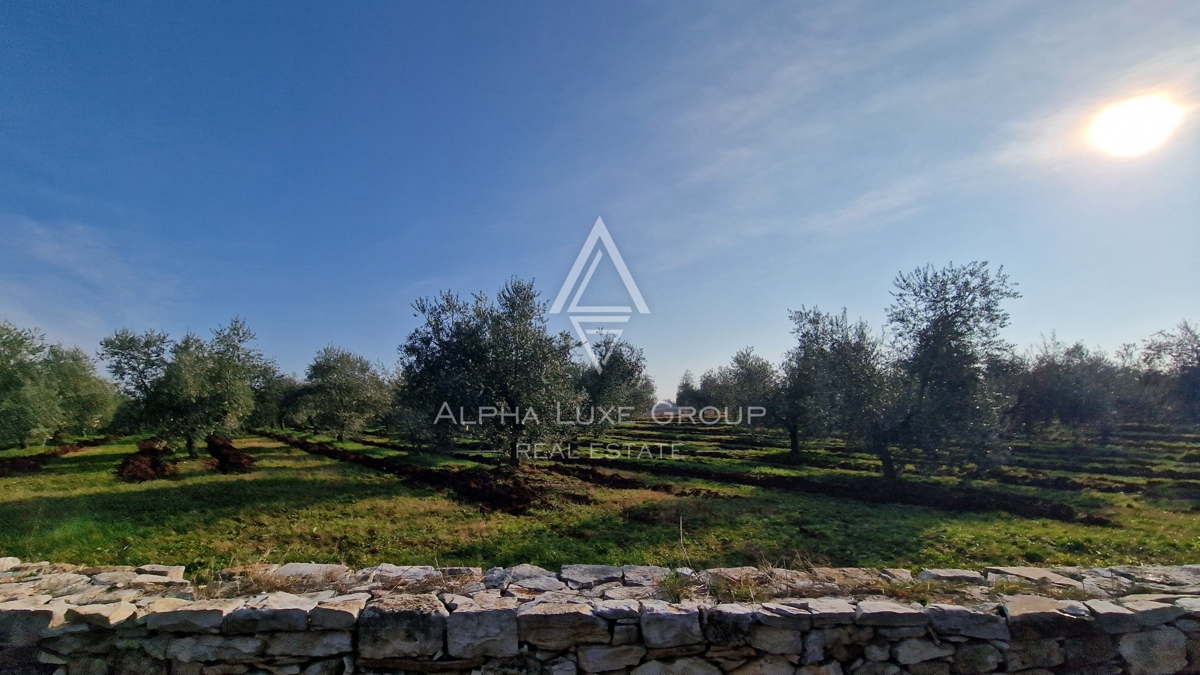 Zemljišče Umag, 8.056m2